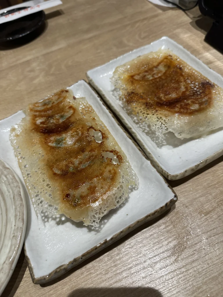 羽付き焼き餃子が皿に並ぶ、焼きたての餃子